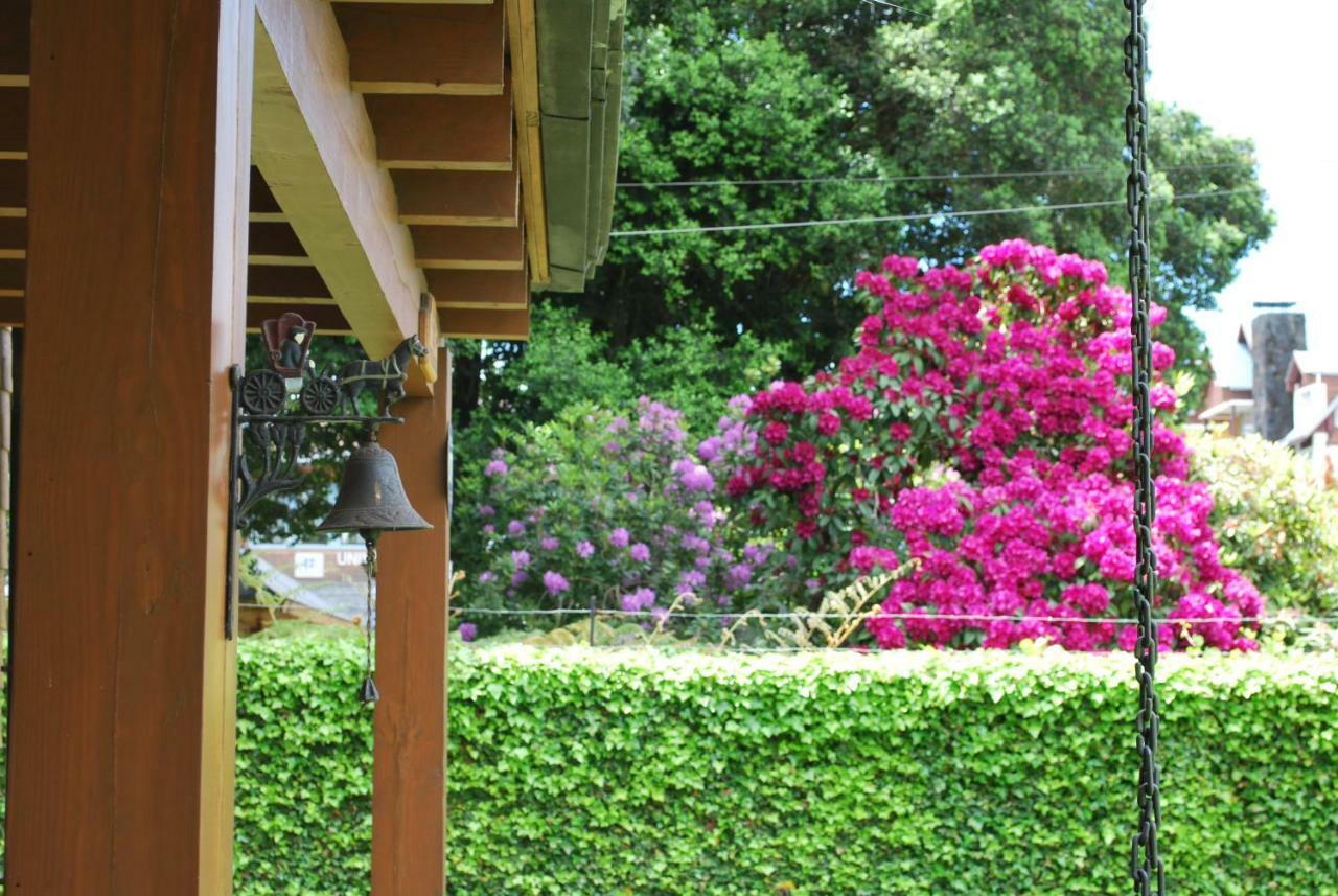 Frontera Pucon Hostel B&B Exterior foto